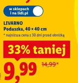 Lidl LIVARNO Poduszka, 40 x 40 cm oferta