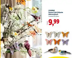 Lidl LIVARNO Zestaw 2 lub 6 klipsów dekoracyjnych oferta