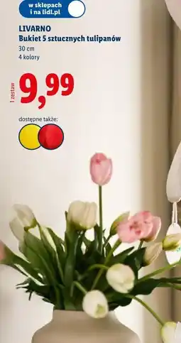 Lidl LIVARNO Bukiet 5 sztucznych tulipanów oferta