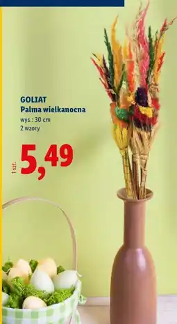 Lidl GOLIAT Palma wielkanocna wys.: 30 cm oferta