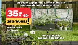 Netto Miniszklarnia ogrodowa oferta