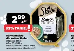 Netto Karma mokra dla kotów Sheba (różne rodzaje) oferta
