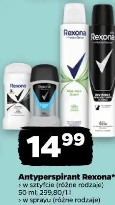 Netto Antyperspirant Rexona (w sztyfcie, w sprayu) oferta