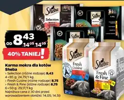 Netto Karma mokra dla kotów Sheba oferta