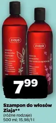 Netto Szampon do włosów Ziaja (różne rodzaje) oferta