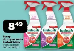 Netto Spray do czyszczenia Ludwik Maxx (różne rodzaje) oferta