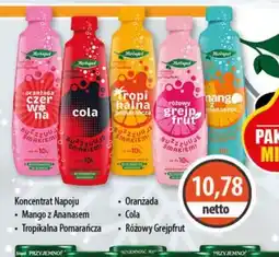 DUO-TES Hortex Koncentrat Napoju oferta