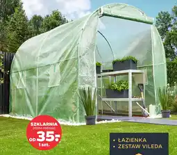 Netto Szklarnia oferta