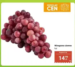 Dino Winogrono ciemne luz oferta