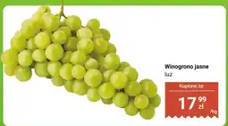 Dino Winogrono jasne luz oferta