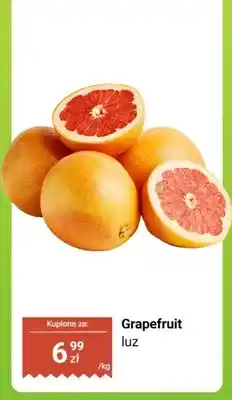 Dino Grapefruit luz oferta