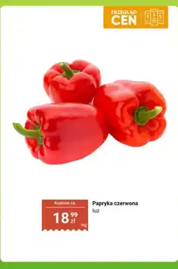 Dino Papryka czerwona luz oferta