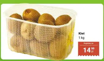 Dino Kiwi oferta