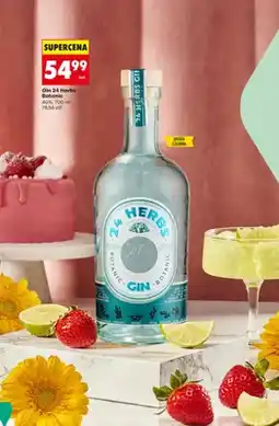 Biedronka Gin 24 Herbs Botanic oferta