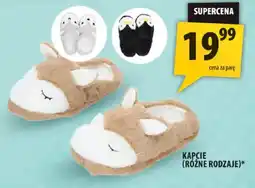 Arhelan Kapcie (różne rodzaje) oferta