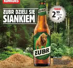 Arhelan Piwo Żubr oferta