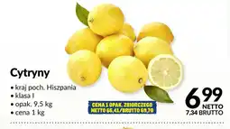 Makro Cytryny oferta