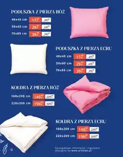 Arhelan Poduszka z pierza róż 40x40cm oferta