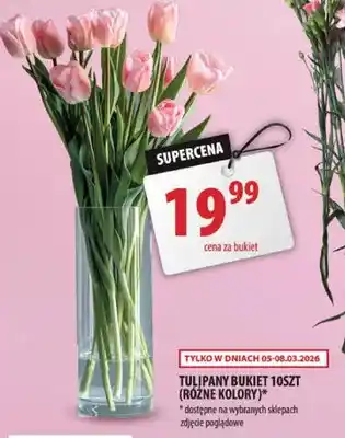 Tulipany bukiet 10szt (różne kolory)