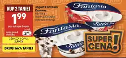 Delikatesy Centrum Jogurt Fantasia wybrane rodzaje oferta