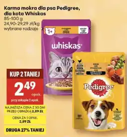 Delikatesy Centrum Karma mokra dla kota oferta
