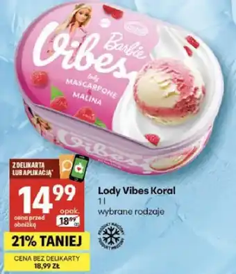 Delikatesy Centrum Lody vibes koral oferta