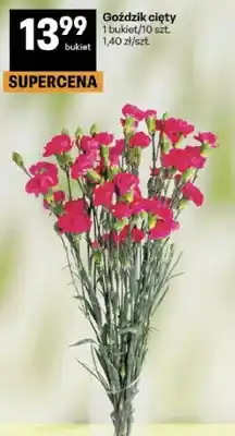 Delikatesy Centrum Goździk ciący oferta