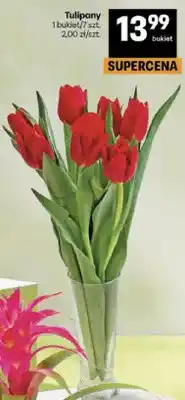 Delikatesy Centrum Guzmania mix oferta