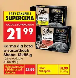 Biedronka Karma dla kota w saszetkach Delicacy oferta