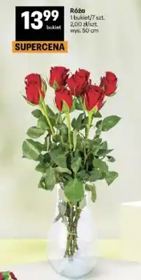 Delikatesy Centrum Róża oferta