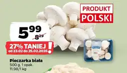 Netto Pieczarka biała oferta
