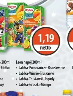 DUO-TES Leon napój oferta