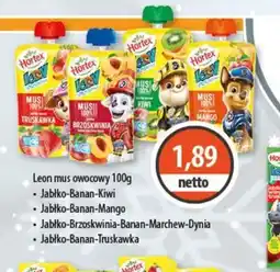 DUO-TES Hortex Leon mus owocowy oferta