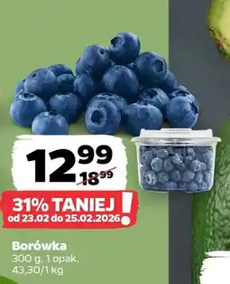 Netto Borówka oferta