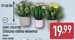 ALDI HOME CREATION Sztuczna roślina wiosenna oferta