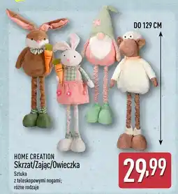 ALDI Skrzat/Zając/Owieczka oferta