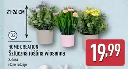 ALDI Sztuczna roślina wiosenna oferta