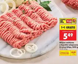 Biedronka Mięso mielone z łopatki wieprzowej oferta