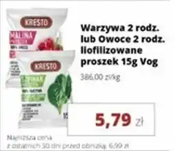 Torimpex Warzywa lub Owoce liofilizowane proszek Vog oferta
