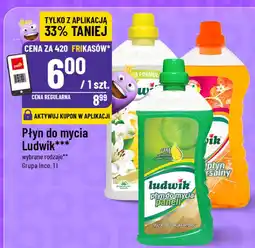 Polomarket Płyn do mycia Ludwik oferta
