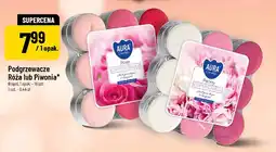 Polomarket Podgrzewacze Róża lub Piwonia Bispol oferta