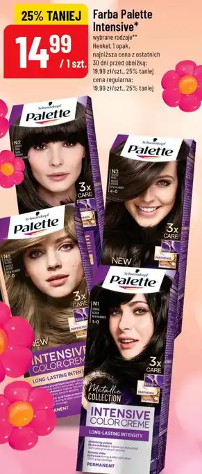 Farba Palette Intensive