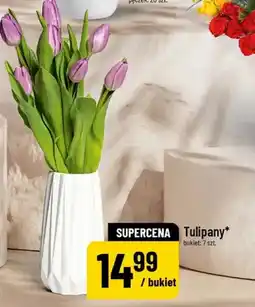 Polomarket Tulipany oferta