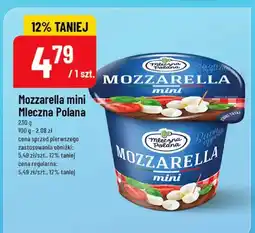 Polomarket Mozzarella mini mleczna oferta