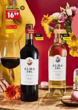 Biedronka Alma Sol oferta