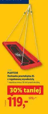 Lidl PLAYTIVE Huśtawka prostokątna XL oferta