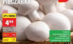 Biedronka Pieczarka opak 500 g oferta