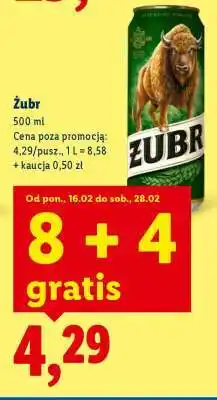 Lidl Żubr oferta