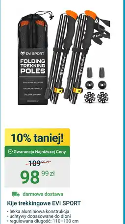 ERLI Kije trekkingowe EVI SPORT oferta