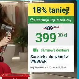 ERLI Webber Suszarka do włosów oferta